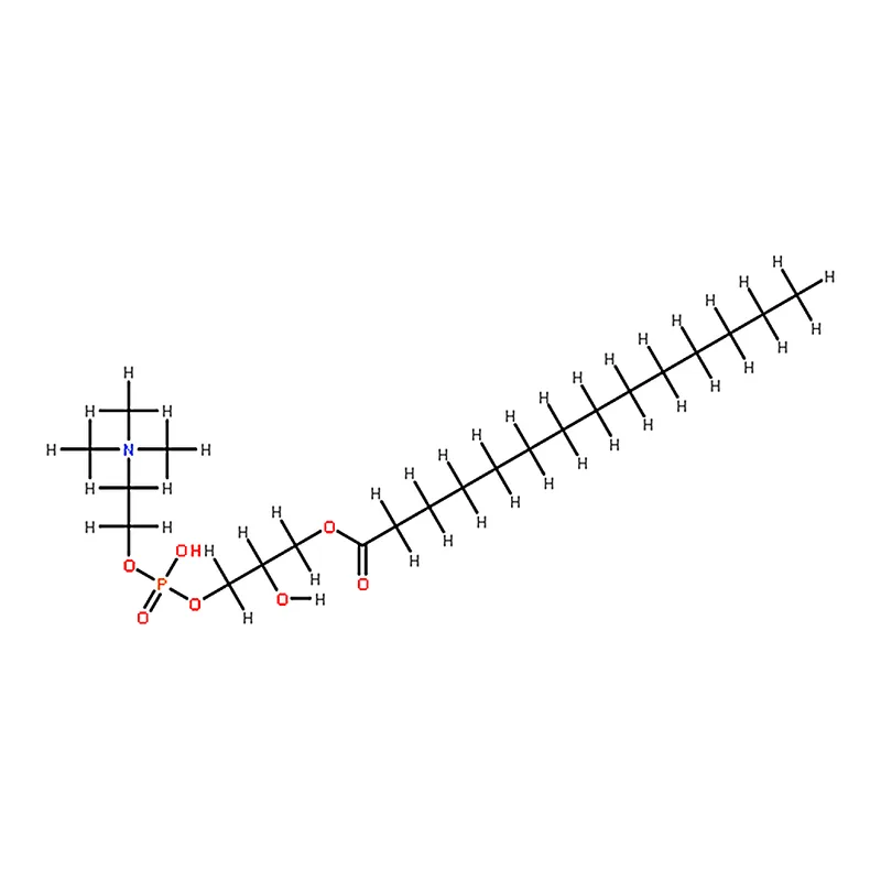 RHAWN 1-myristoyl-2-hydroxy-sn-glycero-3-phosphocholine