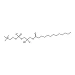 RHAWN 1-tridecanoyl-2-hydroxy-sn-glycero-3-phosphocholine