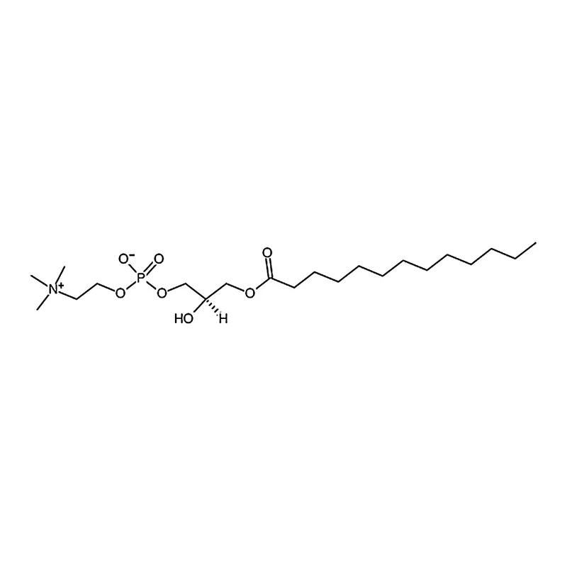 RHAWN 1-tridecanoyl-2-hydroxy-sn-glycero-3-phosphocholine