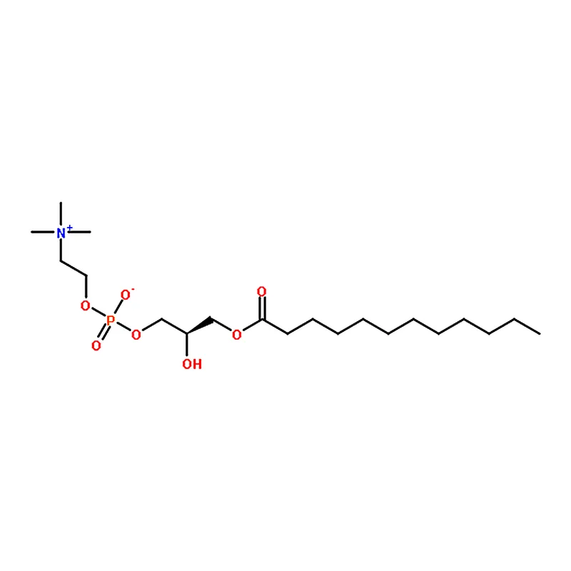 RHAWN 1-lauroyl-2-hydroxy-sn-glycero-3-phosphocholine