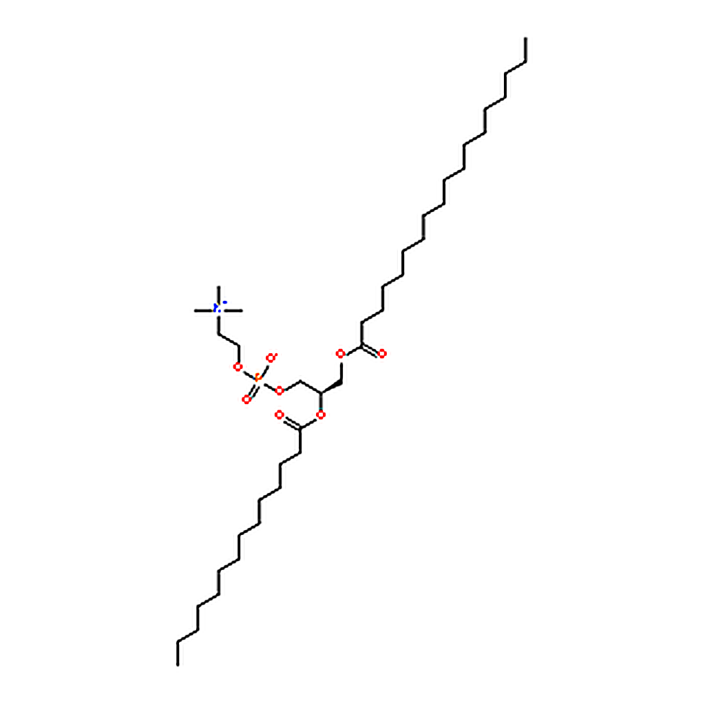 RHAWN 1-stearoyl-2-myristoyl-sn-glycero-3-phosphocholine