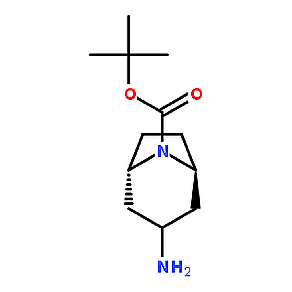 RHAWN tert-Butyl endo-3-amino-8-azabicyclo[3.2.1]octane-8-carboxylate