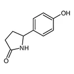 RHAWN 5-(4-Hydroxyphenyl)pyrrolidin-2-one