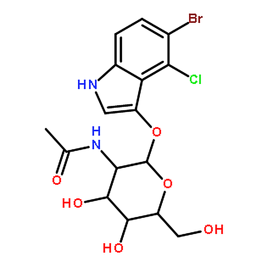 RHAWN 5-Bromo-4-chloro-3-indolyl-2-acetamido-2-deoxy--D-galactopyranoside