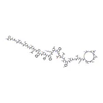 RHAWN Calcitonin, human