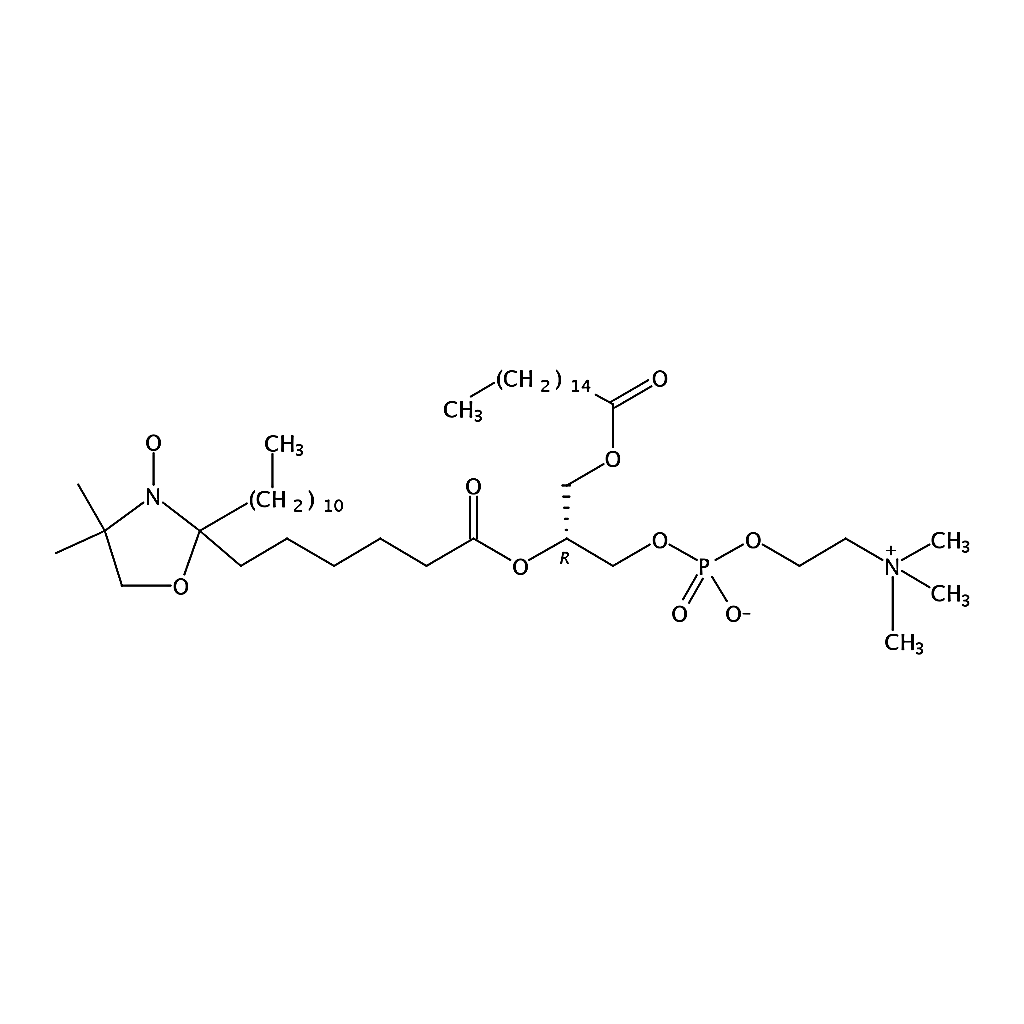 RHAWN 1-palmitoyl-2-stearoyl-(7-doxyl)-sn-glycero-3-phosphocholine