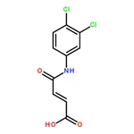 RHAWN N-(3,4-Dichlorophenyl)maleamic acid