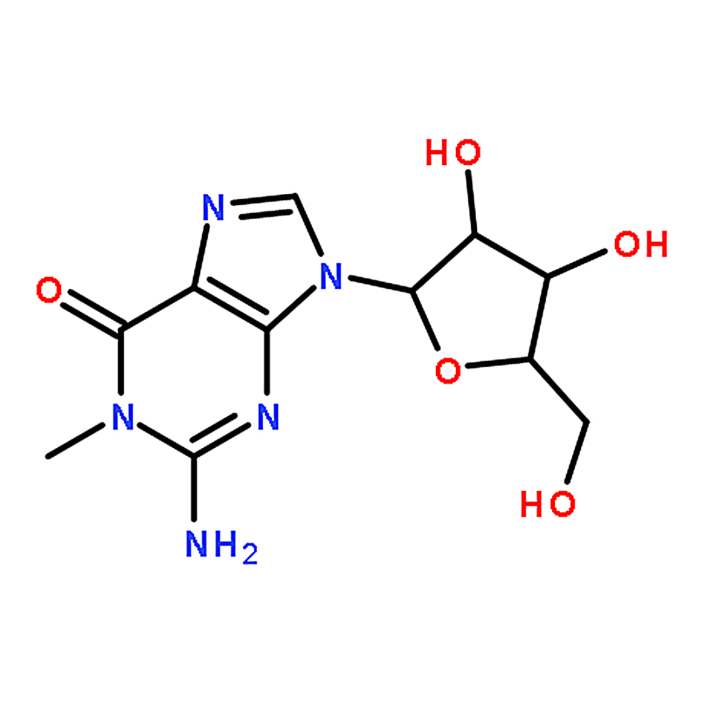 RHAWN 1-Methylguanosine