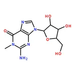 RHAWN 1-Methylguanosine