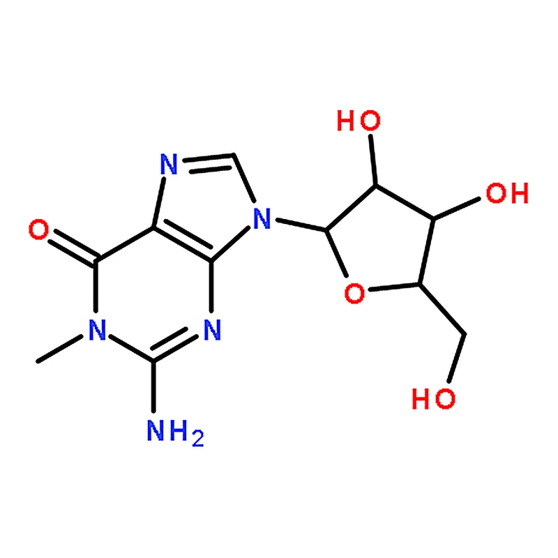 RHAWN 1-Methylguanosine