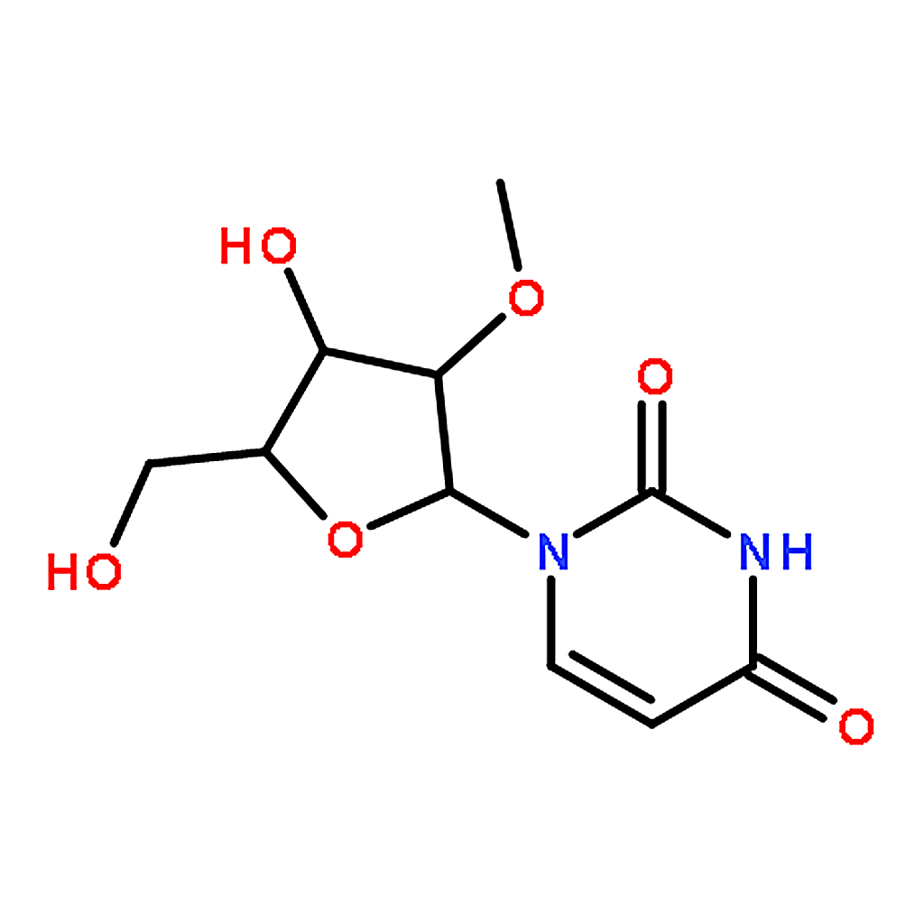 RHAWN 2'-O-Methyluridine