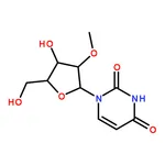RHAWN 2'-O-Methyluridine