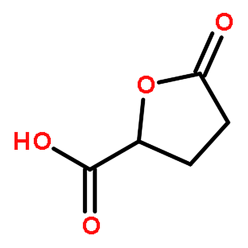 RHAWN (S)-5-Oxotetrahydro-2-furancarboxylic acid