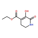 RHAWN Ethyl 5-hydroxy-6-oxo-1,2,3,6-tetrahydropyridine-4-carboxylate