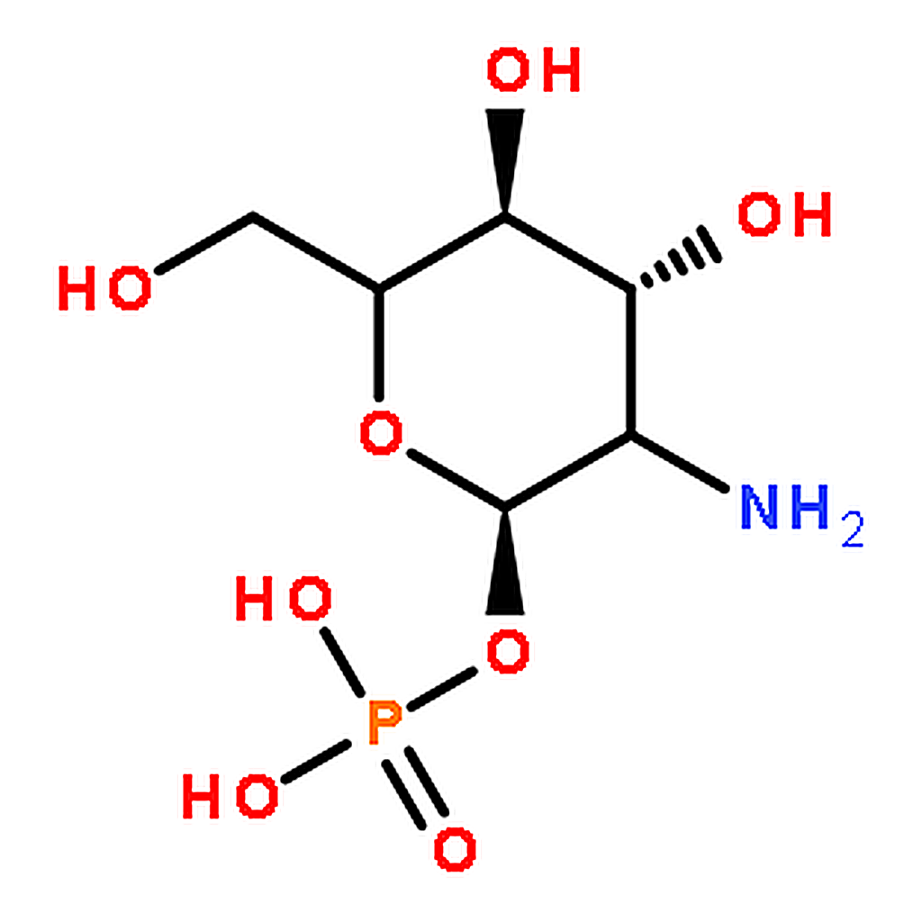 RHAWN -D-Glucosamine 1-phosphate
