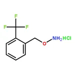 RHAWN O-(2-(trifluoromethyl)benzyl)hydroxylaminehydrochloride