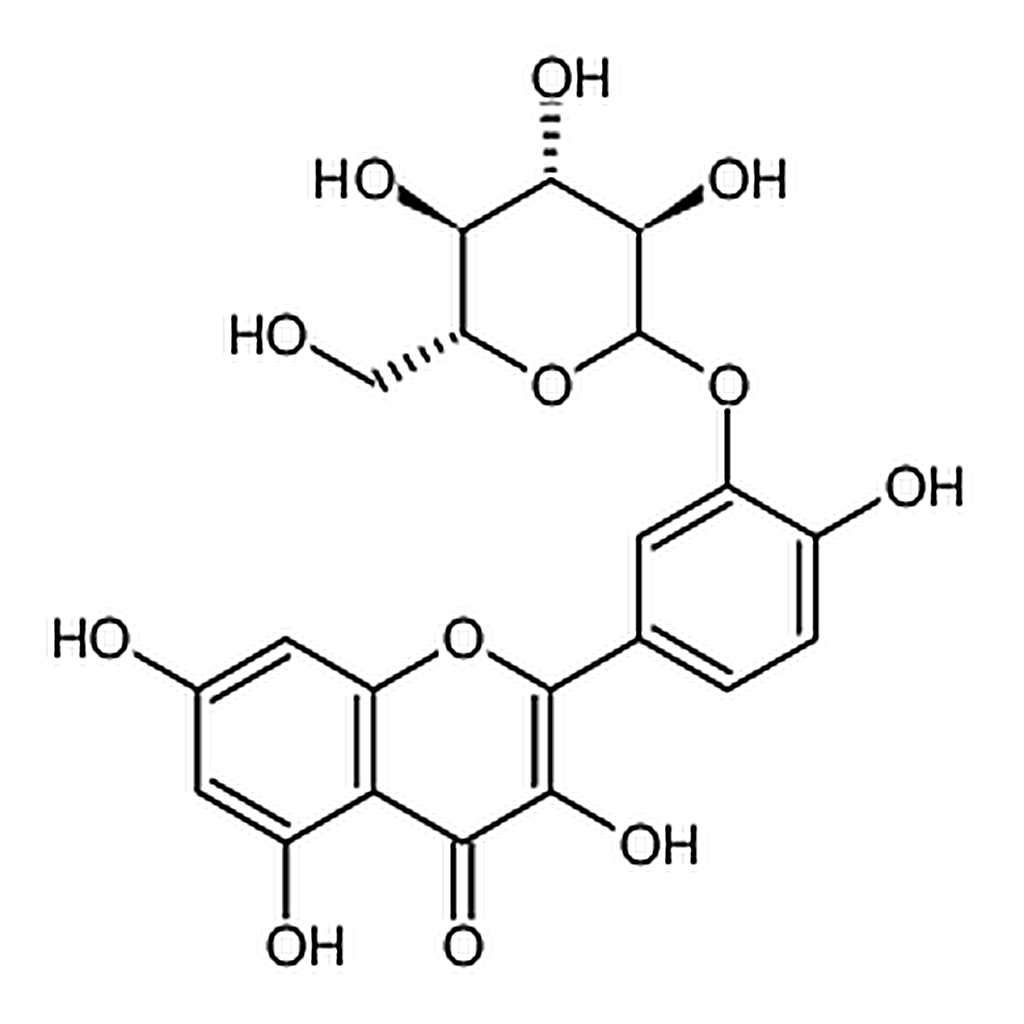 RHAWN Quercetin 3--D-glucoside
