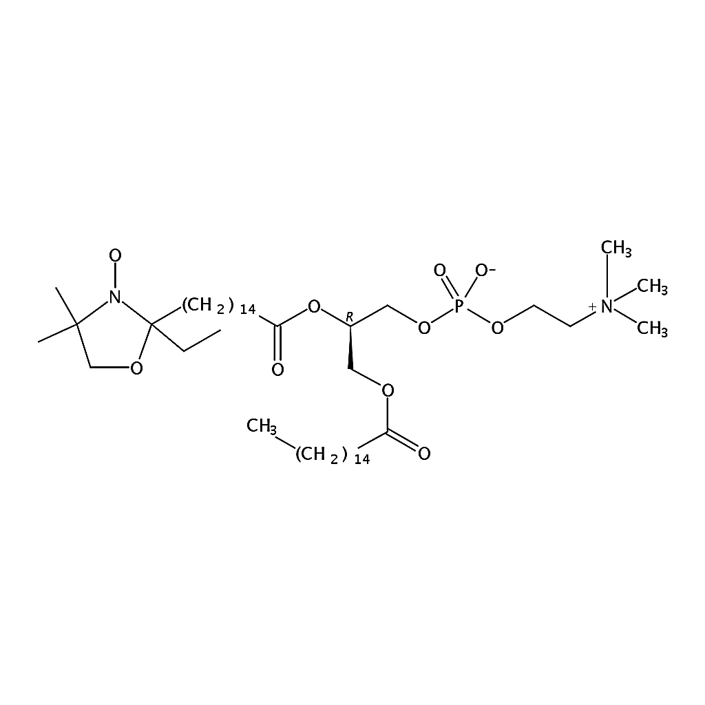 RHAWN 1-palmitoyl-2-stearoyl-(16-doxyl)-sn-glycero-3-phosphocholine