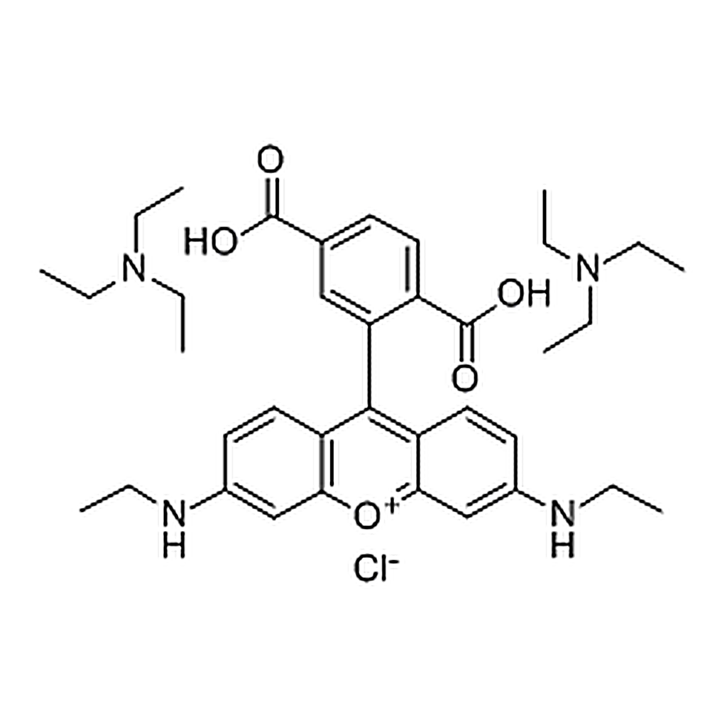 RHAWN 5-ROX  [5-Carboxy-X-rhodamine]