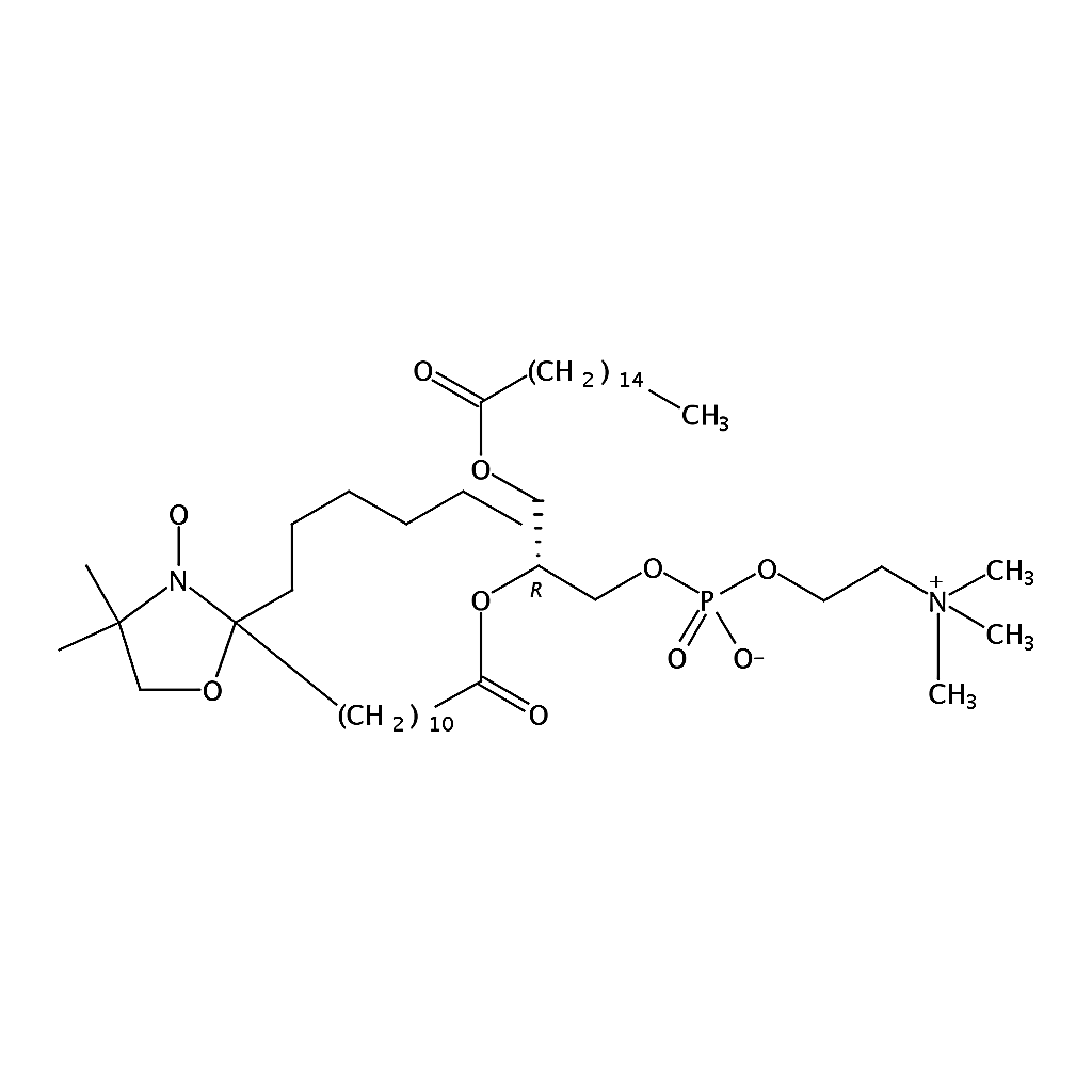 RHAWN 1-palmitoyl-2-stearoyl-(12-doxyl)-sn-glycero-3-phosphocholine