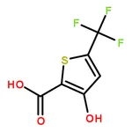 RHAWN 3-Hydroxy-5-(trifluoromethyl)thiophene-2-carboxylic acid