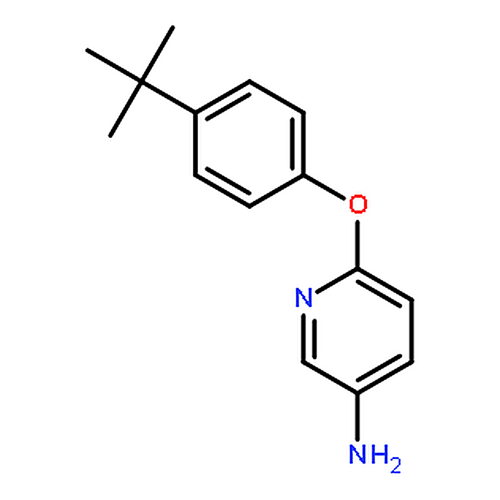 RHAWN 6-(4-(tert-Butyl)phenoxy)pyridin-3-amine