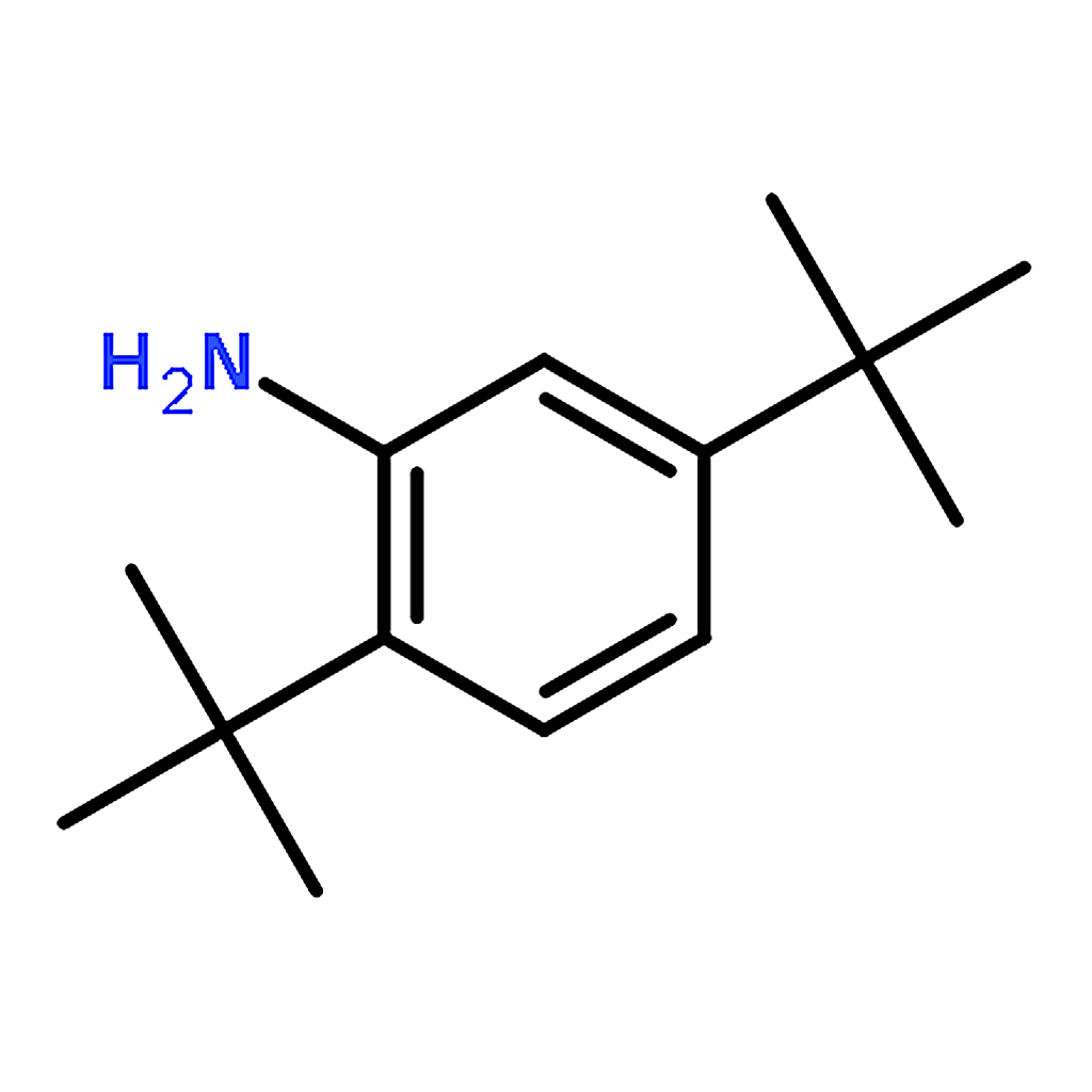 RHAWN 2，5-Di-tert-butylaniline
