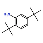RHAWN 2,5-Di-tert-butylaniline