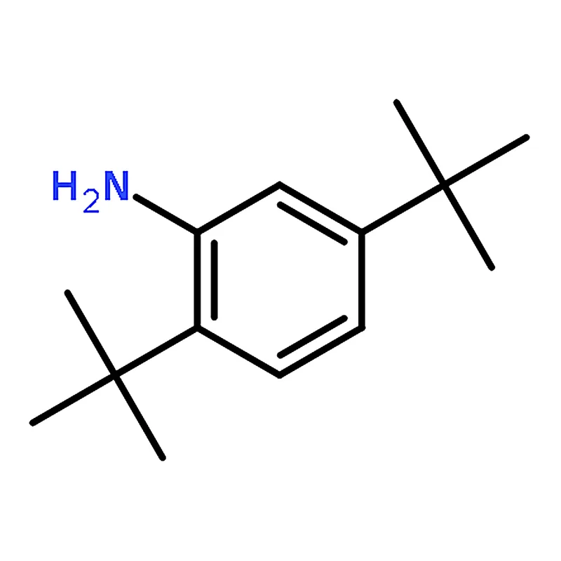 RHAWN 2,5-Di-tert-butylaniline