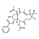 RHAWN DIACETYL BENZOYL LATHYROL