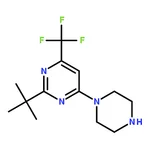 RHAWN 2-(tert-Butyl)-4-(piperazin-1-yl)-6-(trifluoromethyl)pyrimidine