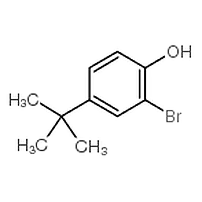 RHAWN 2-Bromo-4-tert-butylphenol