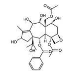 RHAWN 13-O-Deacetyltaxumairol Z
