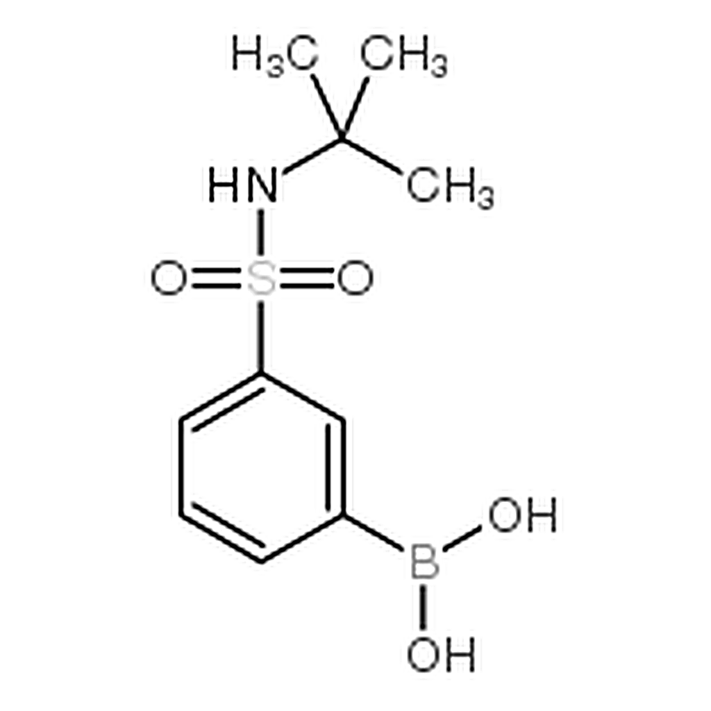 RHAWN 3-[N-(tert-Butyl)sulfamoyl]phenylboronic Acid