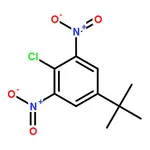 RHAWN 5-(tert-butyl)-2-chloro-1,3-dinitrobenzene