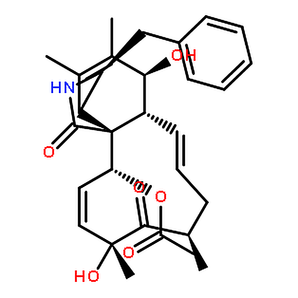 RHAWN Cytochalasin C