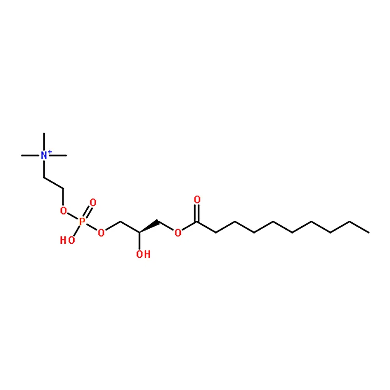 RHAWN 1-decanoyl-2-hydroxy-sn-glycero-3-phosphocholine