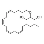 RHAWN 2-Arachidonyl Glycerol ether