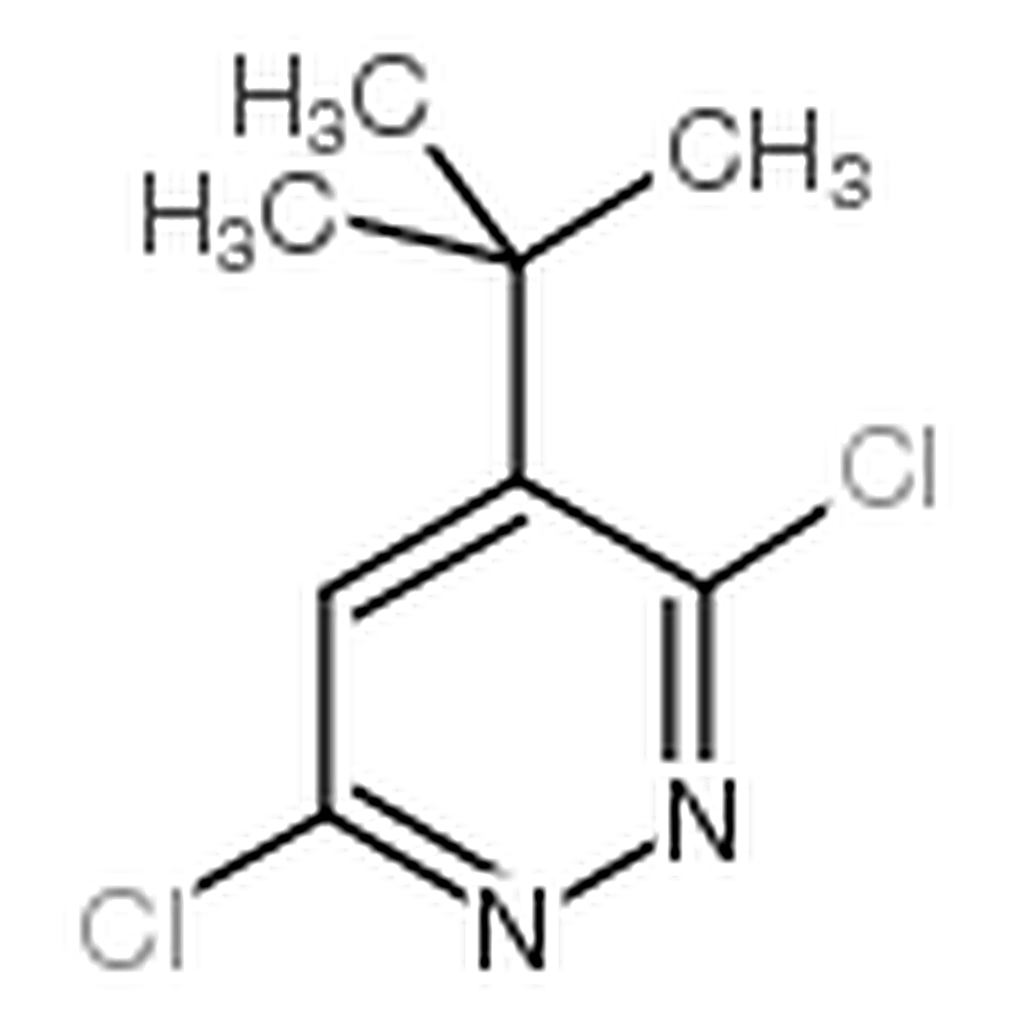 RHAWN 4-tert-Butyl-3，6-dichloropyridazine