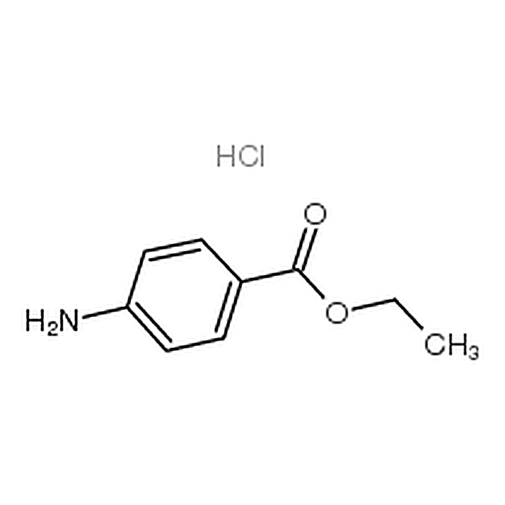 RHAWN Ethyl 4-aminobenzoate hydrochloride， Benzocaine HCl， Ethyl p-aminobenzoate hydrochloride