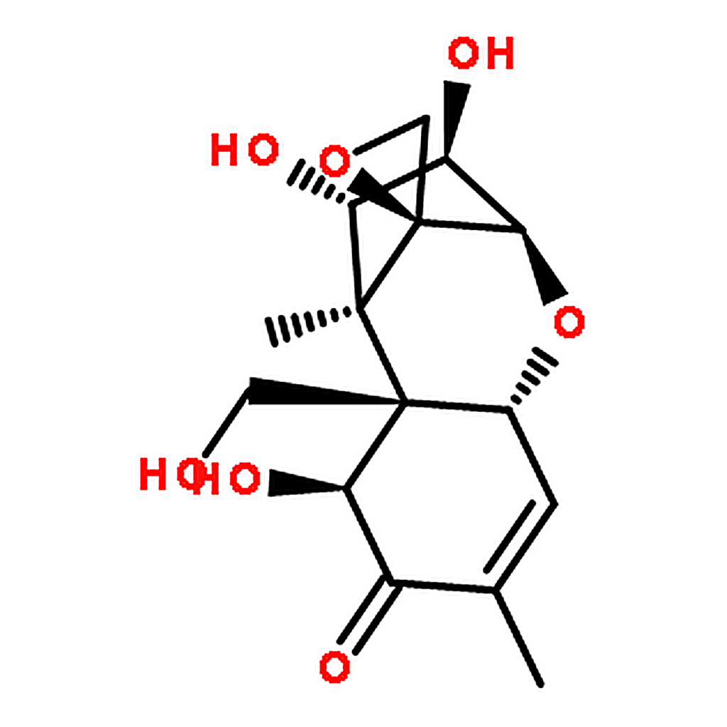 RHAWN Nivalenol from Fusarium nivale