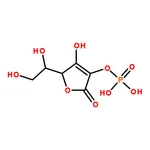 RHAWN L-Ascorbic acid 2-phosphate