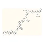 RHAWN Prolactin-releasing Peptide human