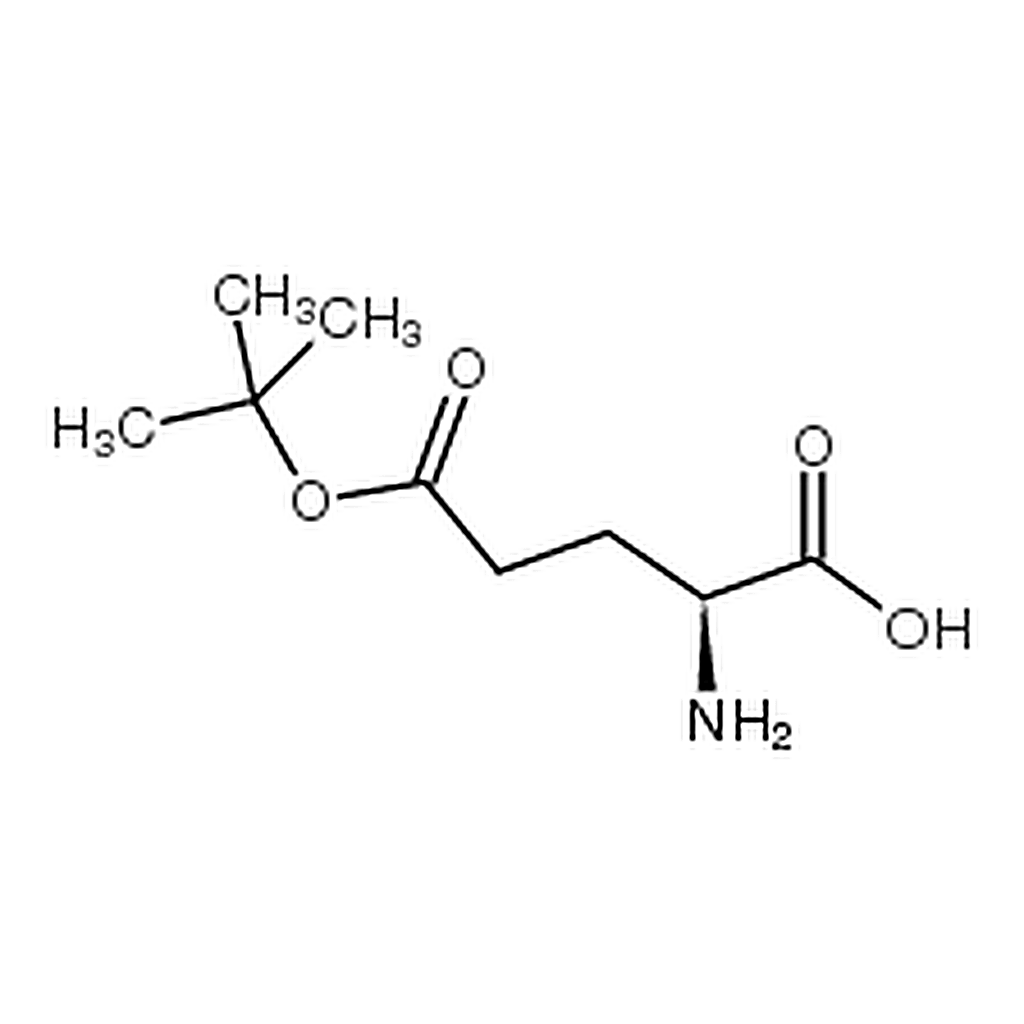 RHAWN L-Glutamic acid 5-tert-butyl ester