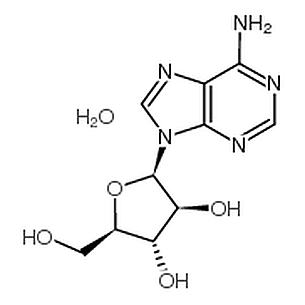 RHAWN Vidarabine Monohydrate