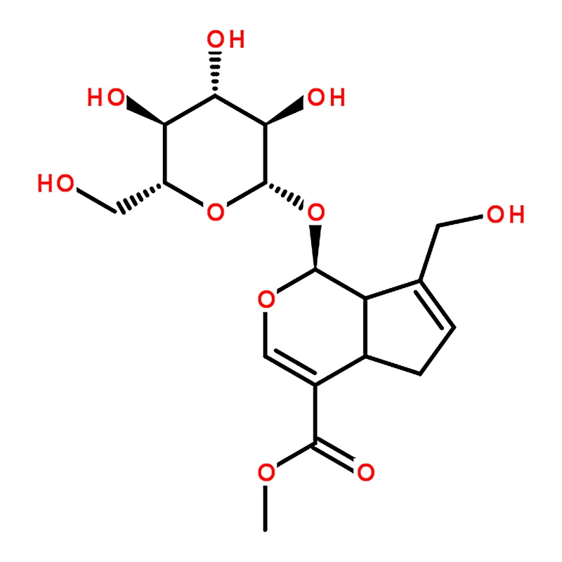 RHAWN gardenia extract