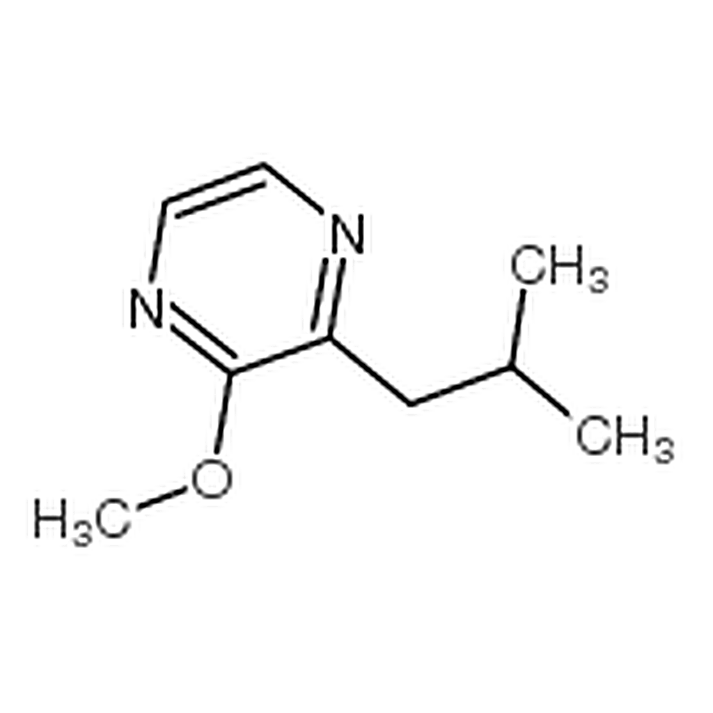 RHAWN 2-Isobutyl-3-methoxypyrazine