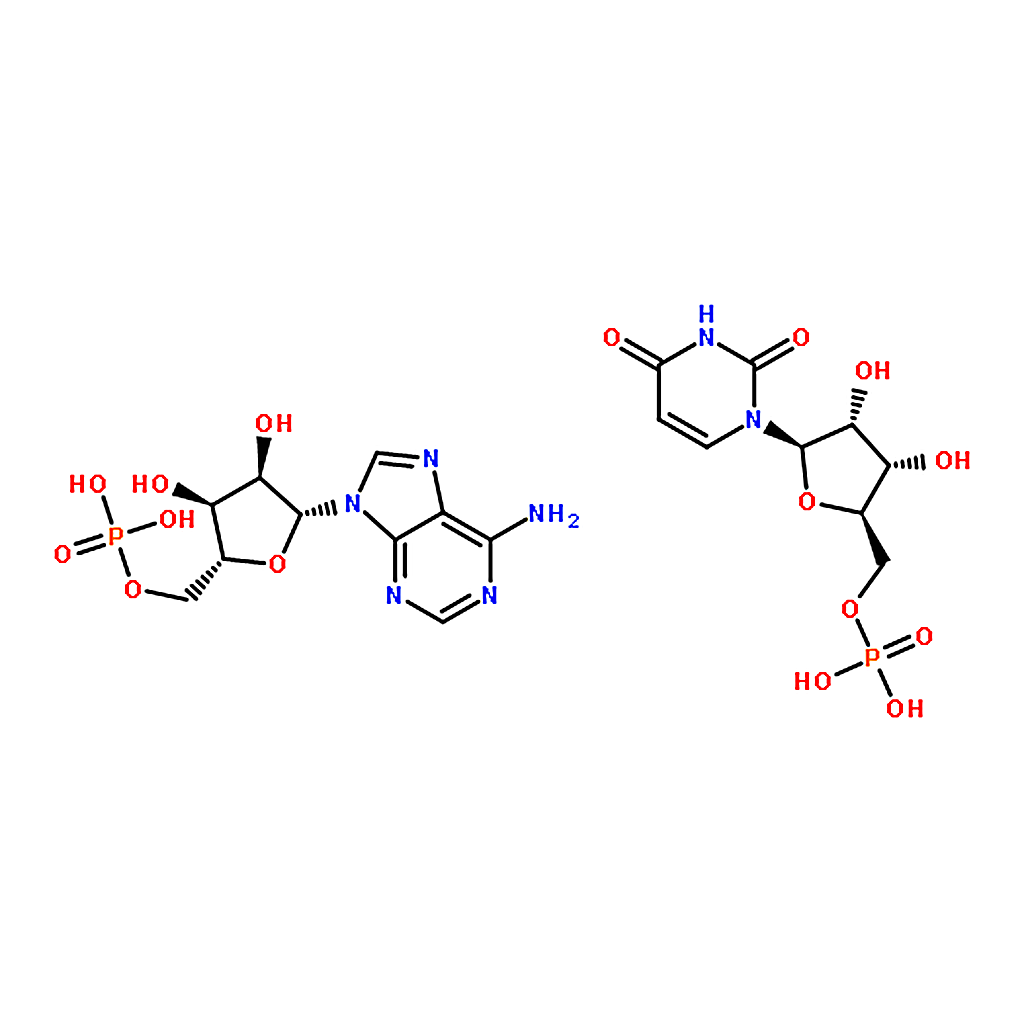 RHAWN Polyadenylic acid-Polyuridylic acid sodium salt
