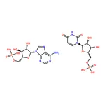 RHAWN Polyadenylic acid-Polyuridylic acid sodium salt