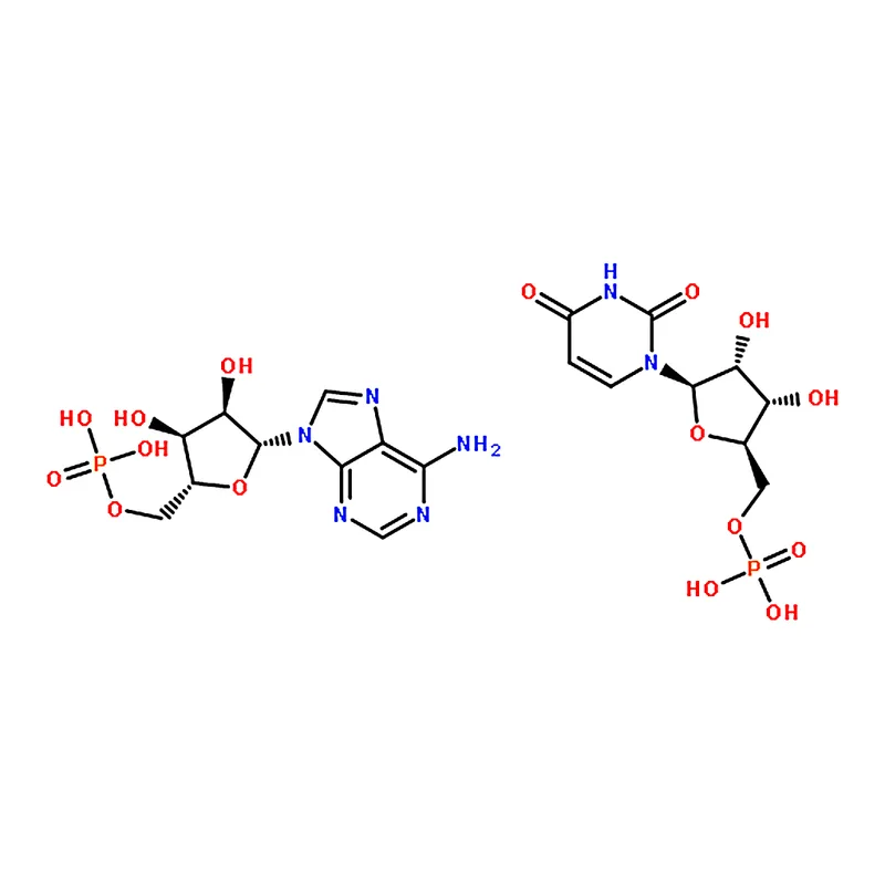 RHAWN Polyadenylic acid-Polyuridylic acid sodium salt